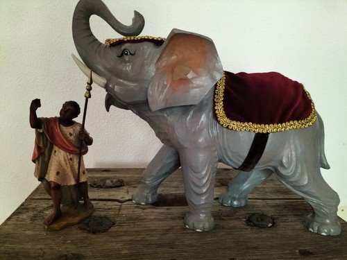 Krippenelefant elefant krippe - elefant,